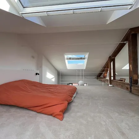 Loft Architecte Duplex Lumineux Dernier Etage شقة ليون