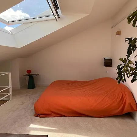 Loft Architecte Duplex Lumineux Dernier Etage * ليون