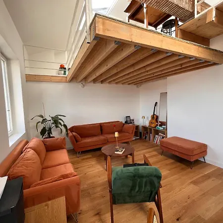 شقة Loft Architecte Duplex Lumineux Dernier Etage ليون