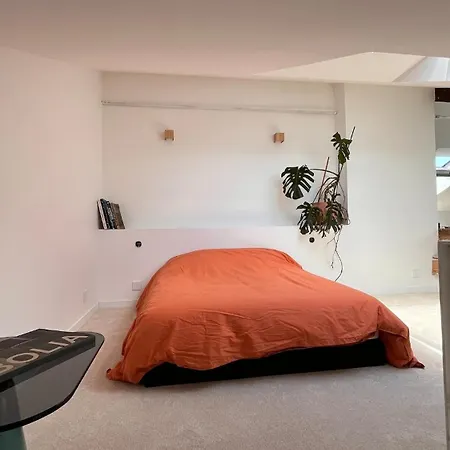 Loft Architecte Duplex Lumineux Dernier Etage شقة ليون